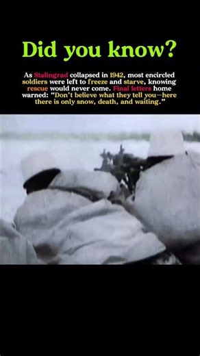 Voices From the Snow: The Last Words of Stalingrad #worldwar2 #history