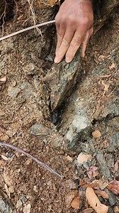 Cracking Bedrock 4 gold #bedrockminecraft #bedrock #goldpanning #goldprospecting #goldnuggets #goldnugget #goldrush #goldfever #goldprospector #treasure #treasurehunt #outdoors #minecraft #minerals #mining #goldmining #goldpaydirt #goldbar #goldpickers #goldpicker | FishnGold