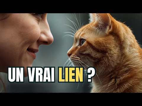 The cat loves you... but not in the way you think.What science reveals