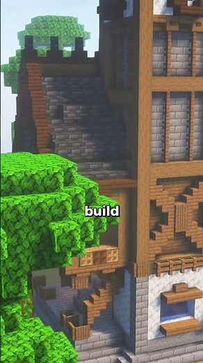 Why is this Minecraft server MASSIVE ???!