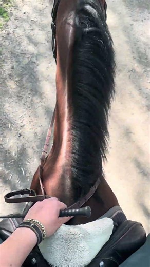 Poor little Nemnem ❤️‍🩹 #horse #equestrian #vlog #horse
