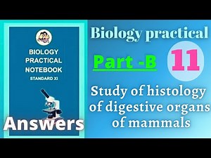 Study of histology of digestive organs of mammals biology practical class 11 experiment 11 answers