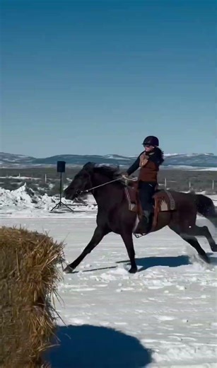 a day in the life in MONTANA: horses, skiing, & Skijoring