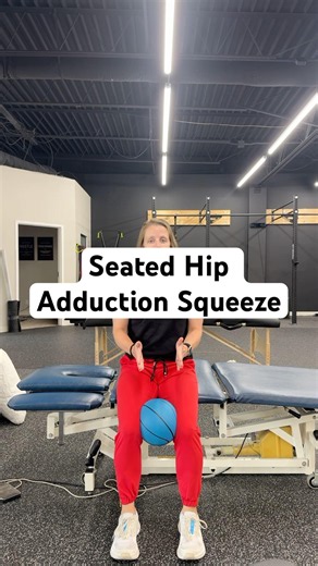 Seated Hip Adduction Squeeze