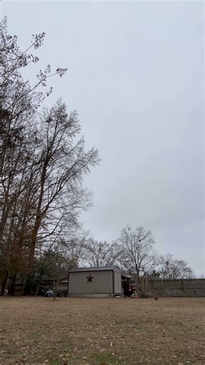 Foot drag wheelies ￼#tuttio #bikelife