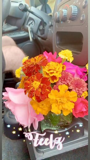 Tessa Hodgson on Reels