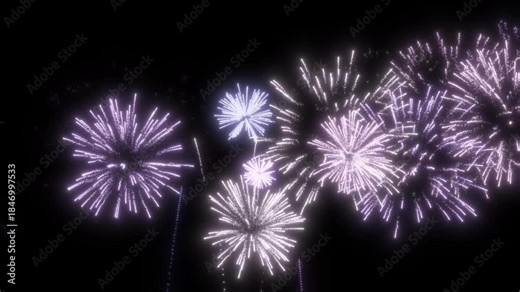Soft purple fireworks explode on transparent background. For birthday firework, new year's eve firework, party firework, festival, anniversary firework, diwali firework, independence day firework