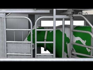 GEA Farm Technologies - MIone Milking Robot