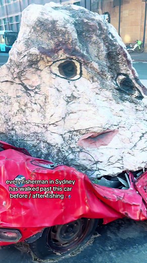 normally walk past after spending 20 hours in the cold and all you caught is starfish 🤷‍♂️ #fishing #harbour #fishtok #fyp #tiktok #sydney