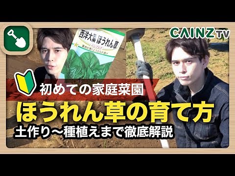 ほうれん草の育て方｜秋夏栽培｜失敗しない簡単な育て方のコツ｜水やり