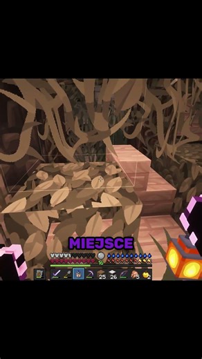 DZIWNY LAS! - HARDCORE NA MODACH