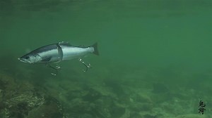 10K views · 271 reactions | "Taking realism to a new level" does not...