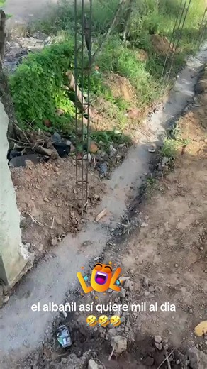 El albañil quiere mil al día: opiniones y humor de albañilería