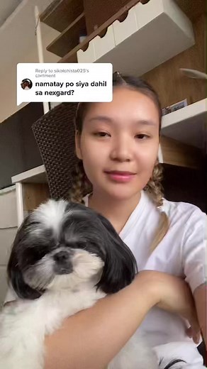 Nexgard for Dogs: Effective Flea and Tick Protection