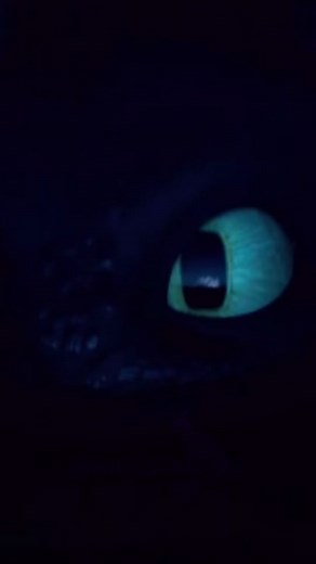 Toothless Meets Light Fury Scene Analysis