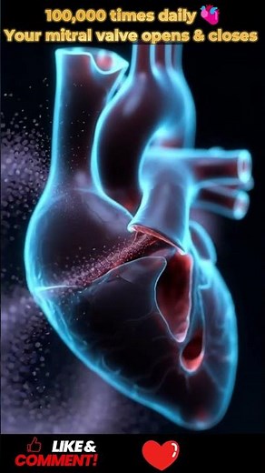 How Your Mitral Heart Valve Opens & Closes | Heart Anatomy | 24