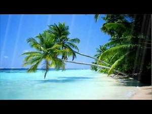 Summer Beach Animated Wallpaper http://www.desktopanimated.com
