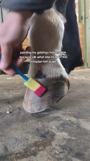 Beginner Equestrian Style Tips for Fun and Sparkle