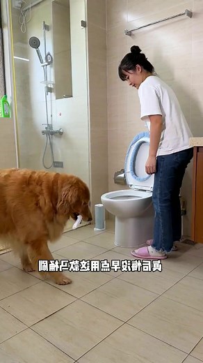 6.6K views · 103 reactions | #pet #dog #pets #doggies #cutedog #lovelydog #petlovers #doglover | Pet Lovers | Facebook