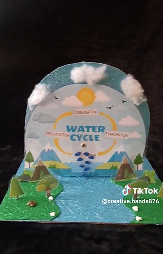 Understanding the Water Cycle for School Projects