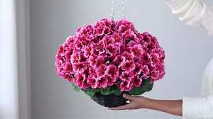 2 Set Artificial Geraniums Flowers with Hanging Baskets for Outdoors - Sun Resistant Silk with Geranium Flowers, Fake Hanging Planters for Front Porch Garden Patio Home Decor (Peach Pink)