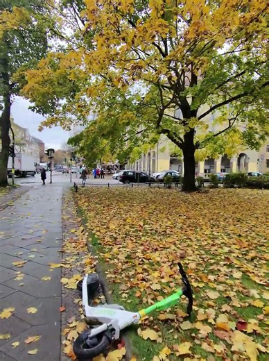 POV Walk — Autumn Streets at Teltower Damm, Zehlendorf, Berlin