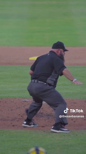 Unleash Fun and Surprises with Savannah Bananas Baseball Team