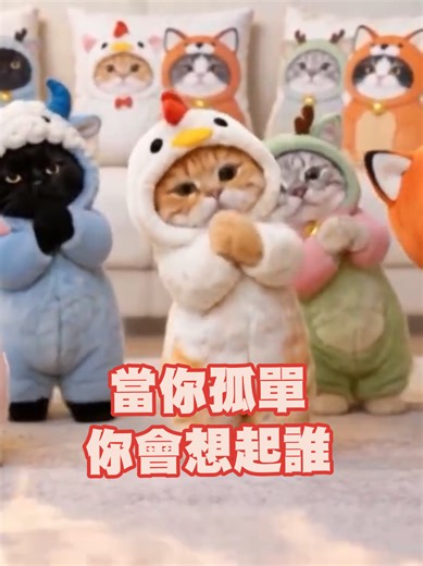 #貓咪跳舞 #可愛到不行了 #該出道了 #當你孤單你會想起誰 | cat dancing