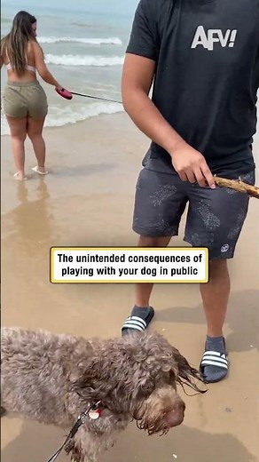 The unintended consequences of playing with your dog in public