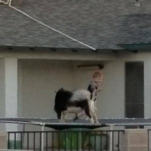 Hahah sit back and lol with us | Always Funny