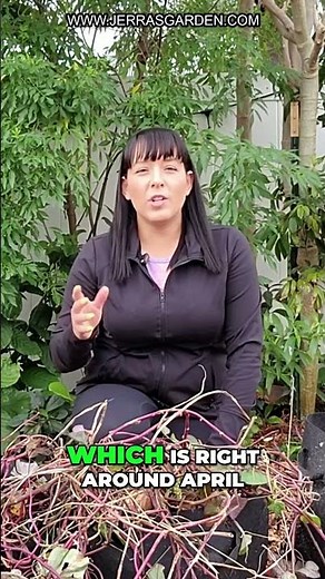 Grow Sweet Potatoes Fast: Easy Propagation Tips