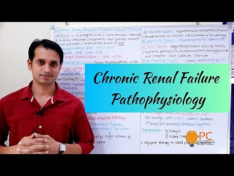 Chronic Renal Failure Pathophysiology || Chronic Kidney Disease (CKD)