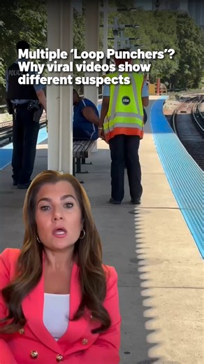 16K views · 112 reactions | Chicago police said a man has been arrested after allegedly striking a 23-year-old woman in the head on Tuesday at a CTA Red Line station. He is at least the second man in recent weeks to be arrested for randomly punching people, as viral videos have circulated of "Loop Punchers" across the city. #chicago #chicagoloop #looppuncher #attack #randomattack | NBC Chicago | Facebook