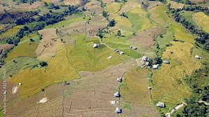 4K Footage on Farmers harvest organic rice farm with Traditional way by Manual rice threshing at hamlet in North of Thailand by drone