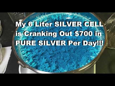 PURE SILVER Growth After Ten Days