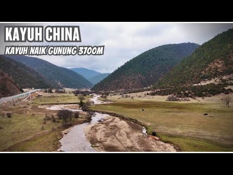 Ep.111 Kayuh naik gunung 3700 meter! KAYUH CHINA; (Day 92 Season5)