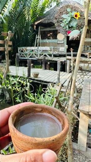 Aesthetic vibes of nature #music #dj #housemusic #sundarban #ai #iphone #nature #forest #ecoresort