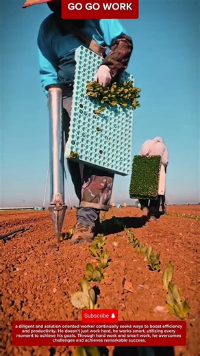 Manual Vegetable Transplanting Tool for Fast Seedling Planting in Modern Agricultural Fields