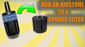 Air Stone Vs Sponge Filter: Making The Right Choice For Your Fish Tank - Aquariumia