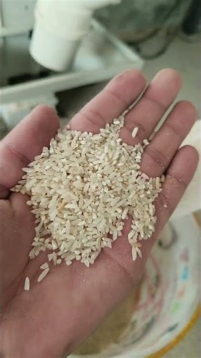 Rice Color Sorter#machine #factory