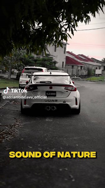 Explore Honda Civic Type R Sound and Nature Vibes
