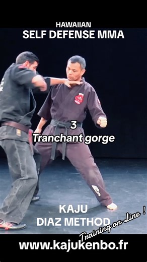 2.3K views · 10K reactions | Defense sur coup de pied circulaire...