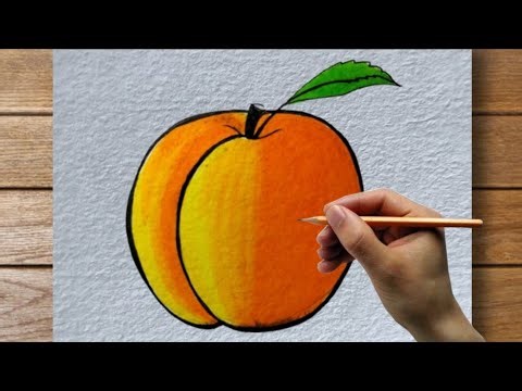 "Master the Art of Peach Drawing in Just 5 Minutes! 🍑 | Easy Step-by-Step Tutorial"