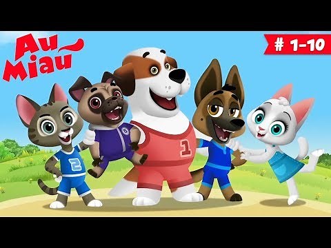 Au Miau 🐶 Desenhos animados em Português - 60 minutos