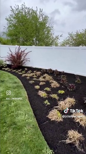 Crispy Edges and Black Mulch for Stunning Landscaping
