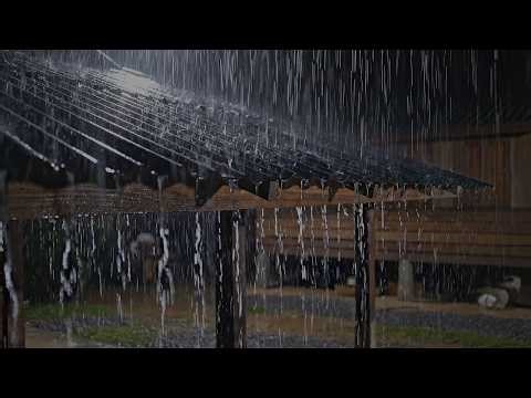 Instant Sleep in 10 Minutes In Village | Live Stream rain sounds for sleep and insomnia