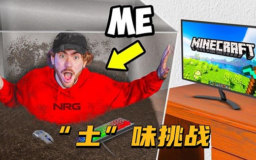 我的世界：Sapnap的“土”味挑战