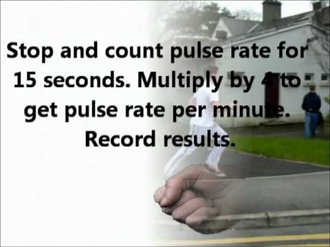 To investigate the effect of exercise on breathing or pulse rate of a human