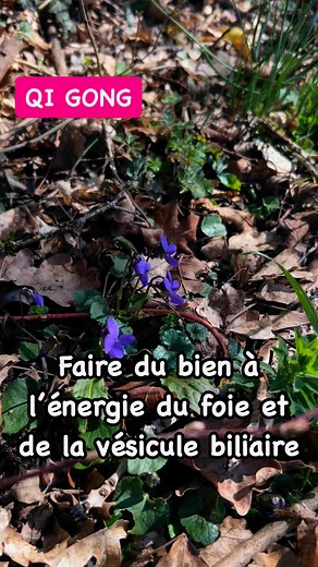 Le mouvement du saule pleureur 😀 pour un étirement du méridien, du foie et de la vésicule biliaire. #printemps2025 #printemps #foie #detoxnaturelle #qigongeveryday #bienetreaunaturel #bienetreauquotidien | Karine Perrin