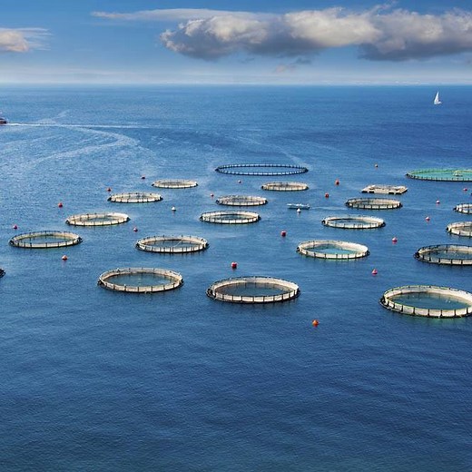 The United Nations Convention on the Law of the Sea is an international treaty that establishes the legal framework for maritime activities. Learn more about the UNCLOS through this video! #Unacademy #Education | Unacademy